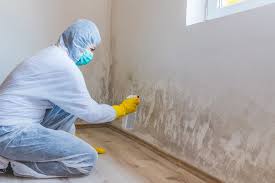 Best Black Mold Removal  in Utica, NY