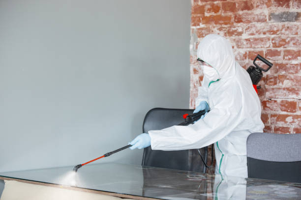 Best Mold Remediation for Healthcare Facilities  in Utica, NY