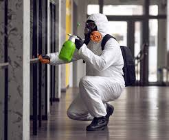 Reliable Utica, NY Mold Removal & Remediation Solutions